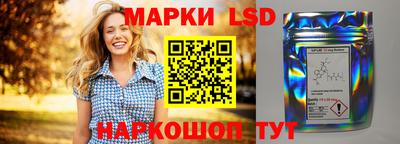 гашик Новокубанск