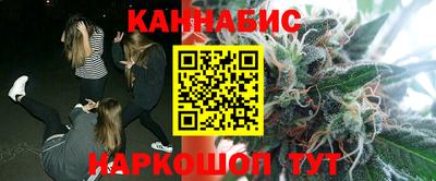 гашик Новокубанск