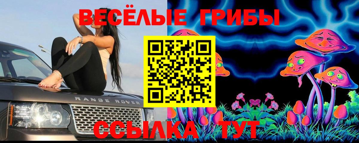 Галлюциногенные грибы мицелий Обь