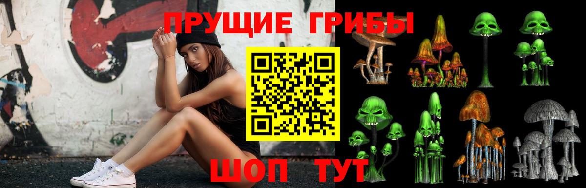 Обь  Галлюциногенные грибы Psilocybe  Вход с VPN 